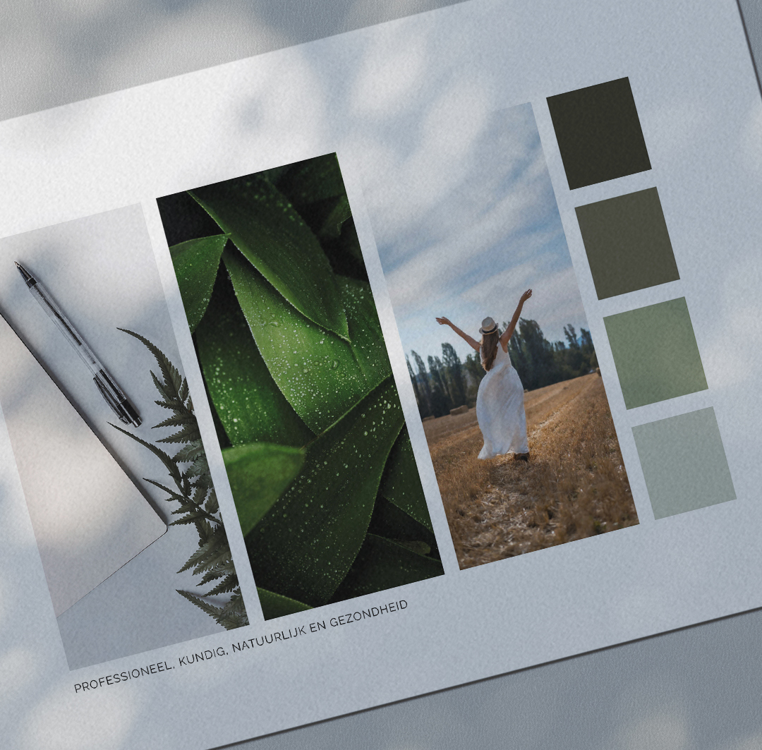 moldboard brandingstrategie